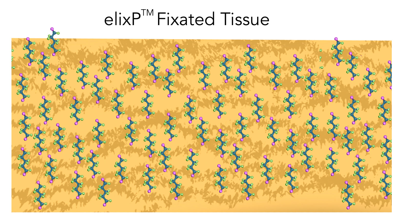Tissue-Patch-R03-01 Tissue-Patch