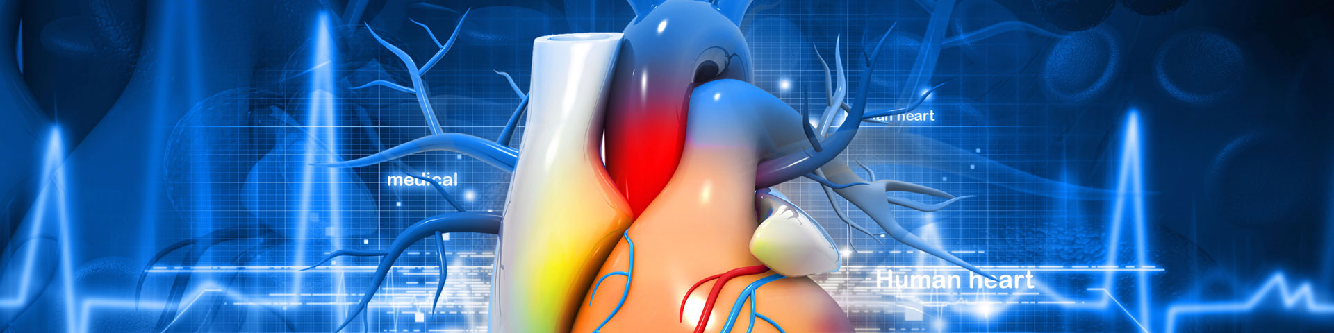 Invengenx® for Soft Tissue Repair